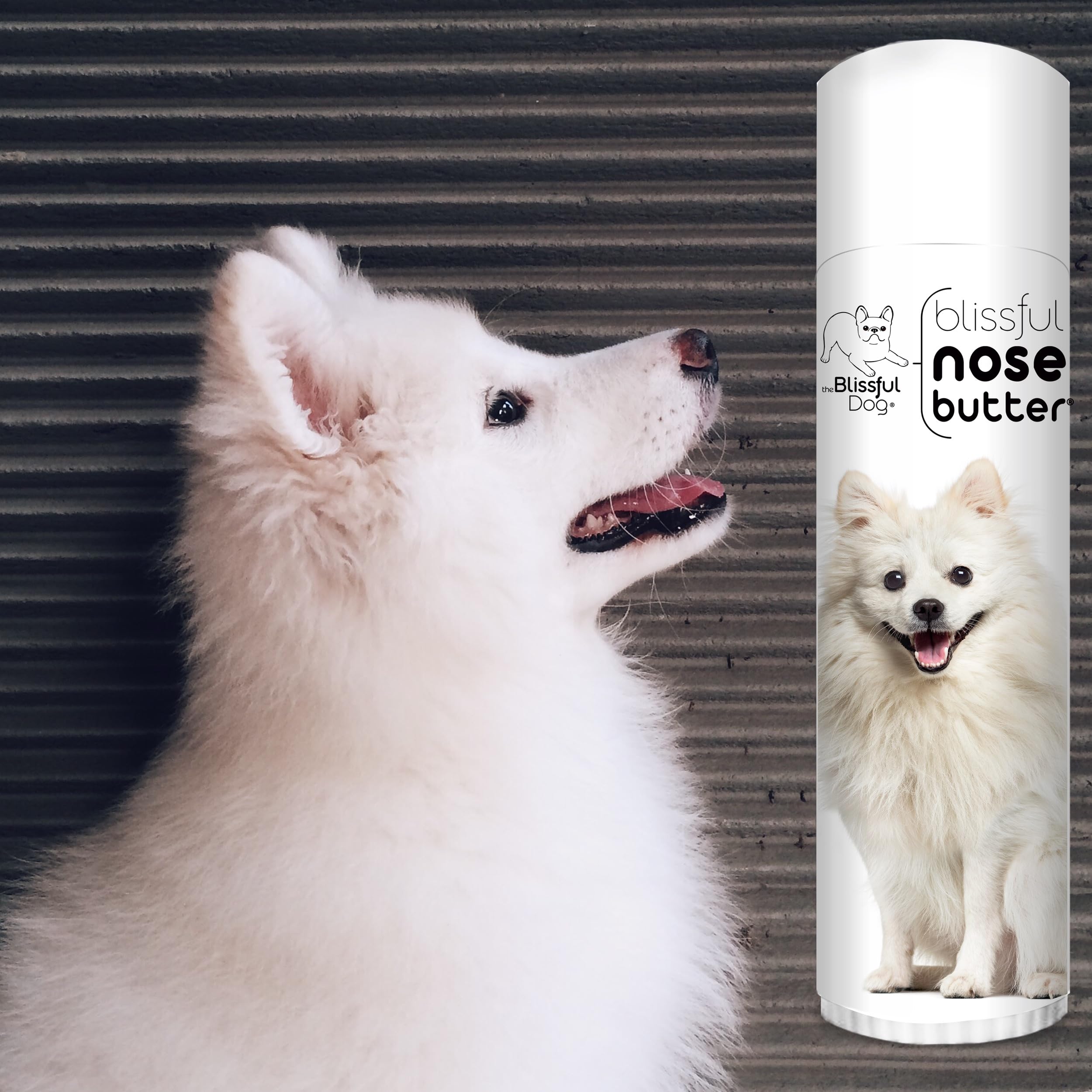 The Blissful Dog American Eskimo Unscented Nose Butter - Dog Nose Butter, 0.50 Ounce